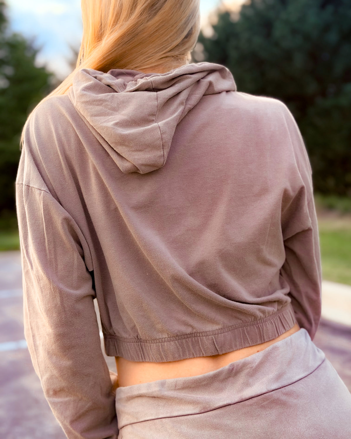 Aspen Ash Washed Cropped Hoodie
